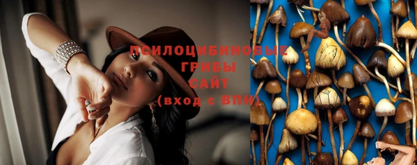 тгк Навашино
