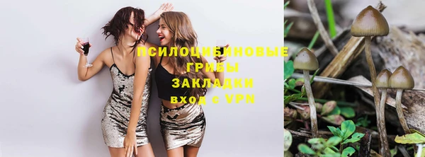 МДПВ Наволоки