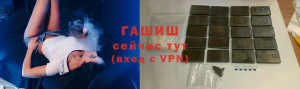 хмурый Снежногорск