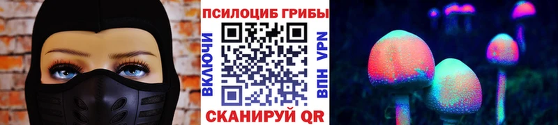 Псилоцибиновые грибы Cubensis  Ногинск 