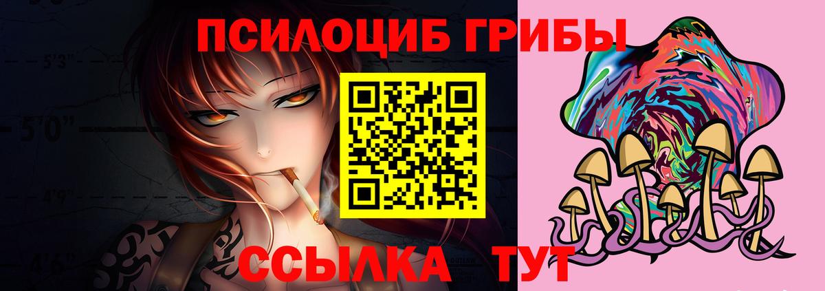 Галлюциногенные грибы Cubensis Ногинск