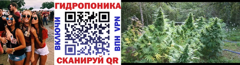 Каннабис Ganja  ОМГ ОМГ ссылка  Ногинск 